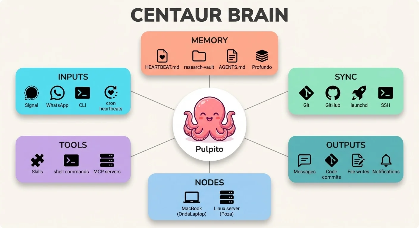 Centaur Brain Architecture - Hub and spoke diagram showing Pulpito at the center connected to Memory (HEARTBEAT.md, research-vault, AGENTS.md, Profundo), Inputs (Signal, WhatsApp, CLI, cron), Sync (Git, GitHub, launchd, SSH), Tools (Skills, shell commands, MCP servers), Nodes (MacBook, Linux server), and Outputs (Messages, Code commits, File writes, Notifications)